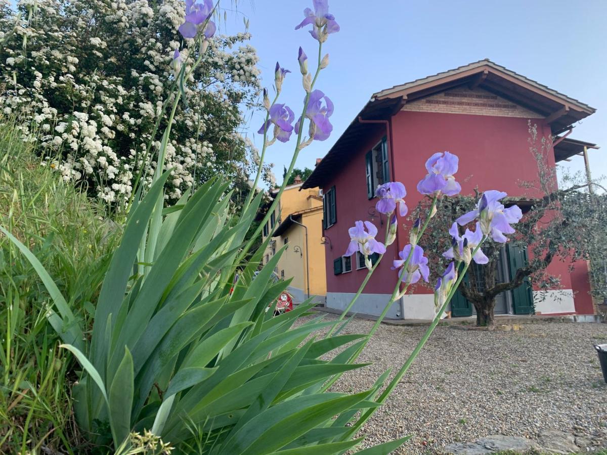 Barco Mediceo B&B In Toscana Carmignano Buitenkant foto