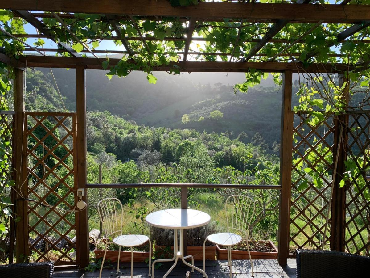 Barco Mediceo B&B In Toscana Carmignano Buitenkant foto