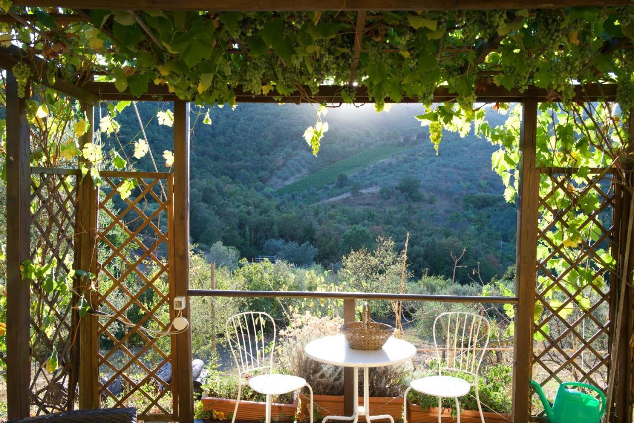 Barco Mediceo B&B In Toscana Carmignano Buitenkant foto